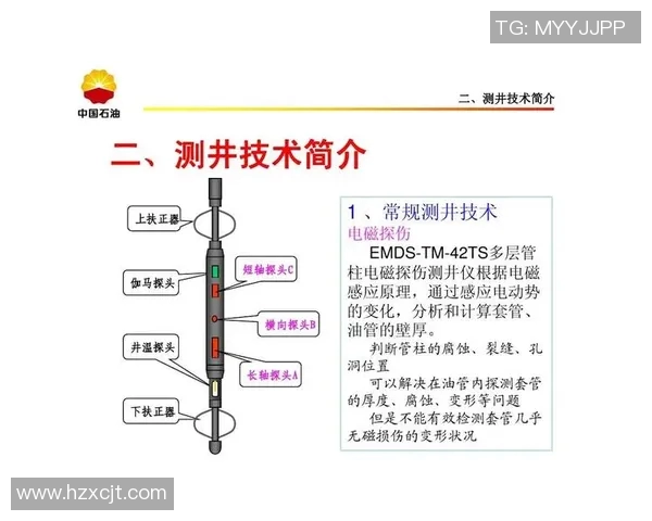 LNG在大师赛中的团队协作表现分析与点评